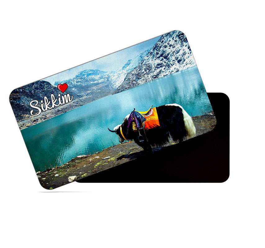 dhcrafts Rectangular Rubber Fridge Magnet / Magnetic Card Multicolor Tamil Nadu Sikkim D1 Design Pack of 1 (8.6cm x 5.4cm)